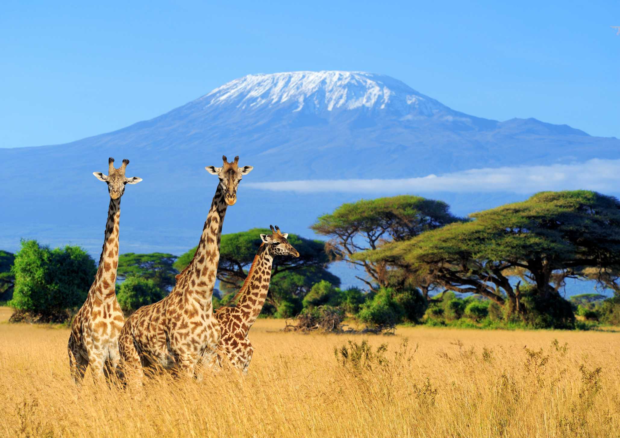 kenya my country