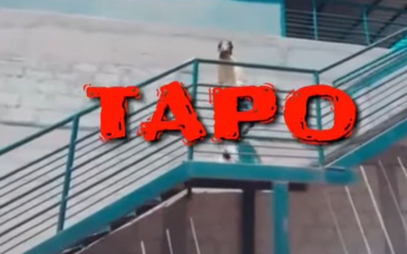 tapo