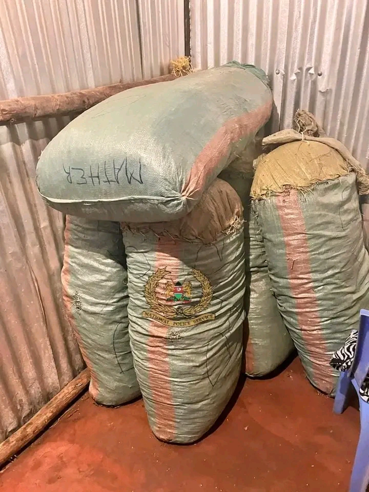 money in sacks