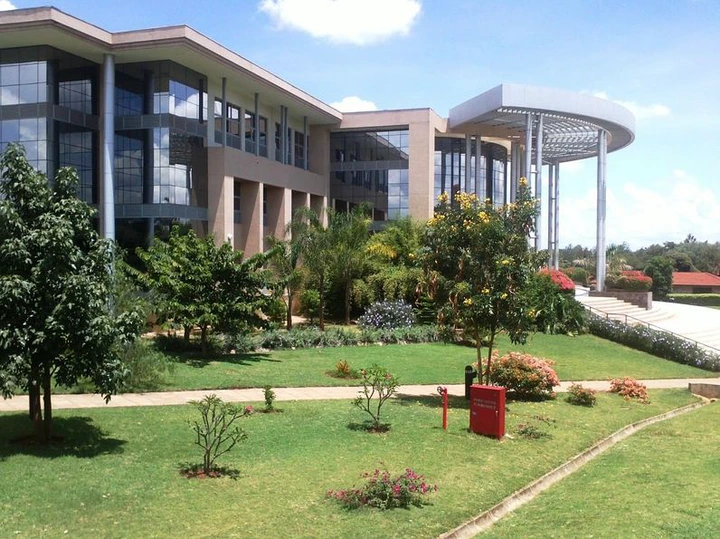 university