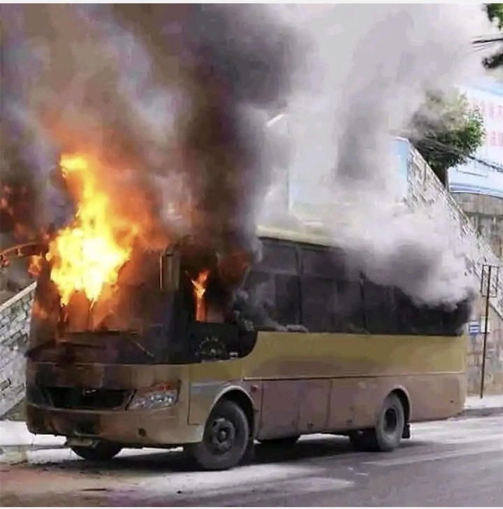 Bus