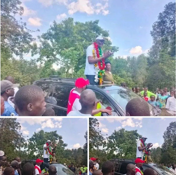 Goliath wa Bungoma