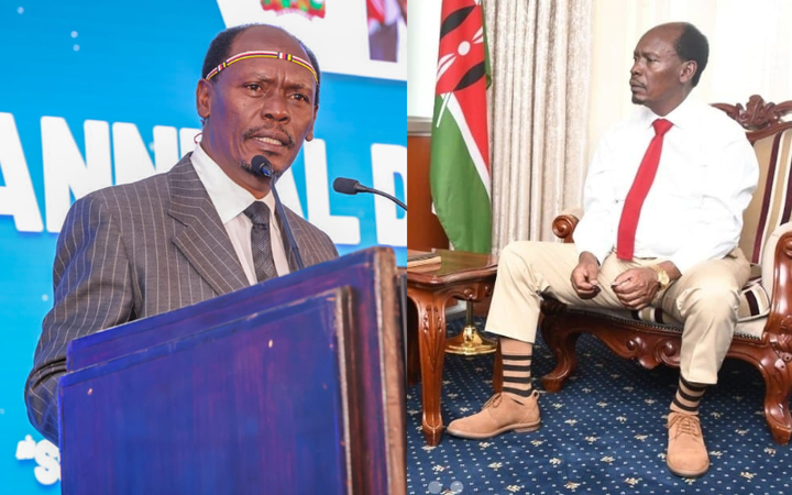 Kabogo socks