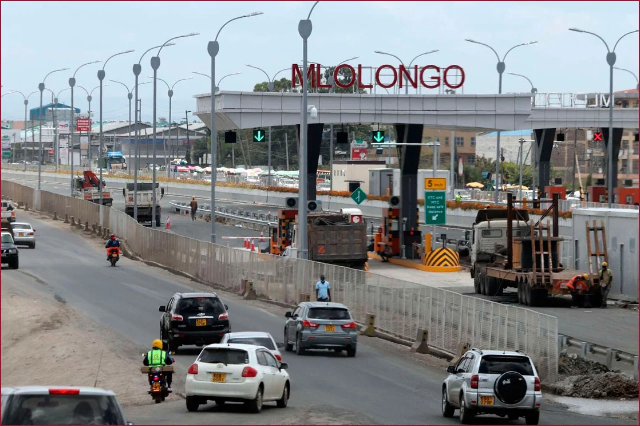 mlolong