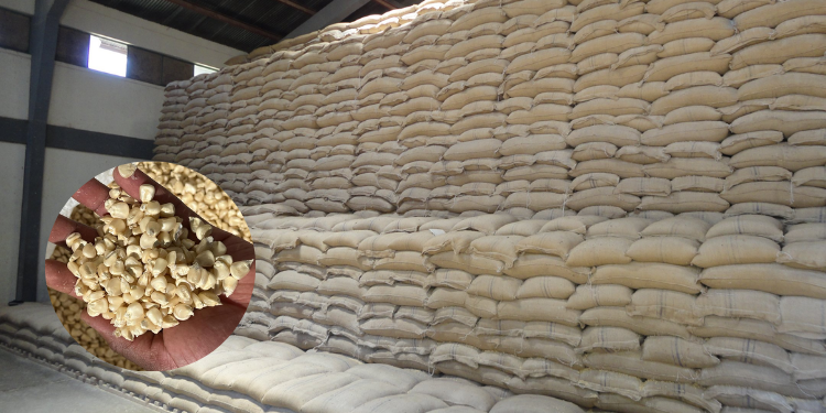 A photo of Maize stored at National Cereals and Produce Board NCPB. PHOTONCPB