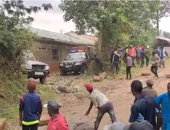 48d7ba5d61f3400a996e26491484295e