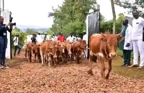 33140df27d0f4c0c8088d0a064876c45