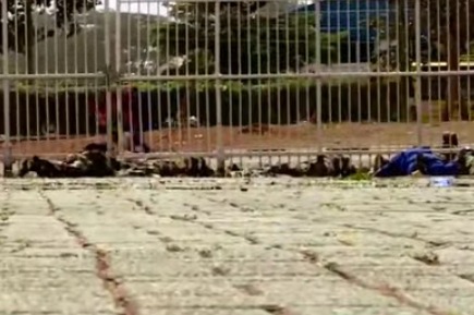 709d2c2cff634c39ac70ab4c9d0a897a