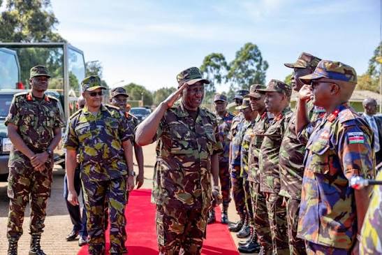 8739567528cd4ea495ec236039e76388