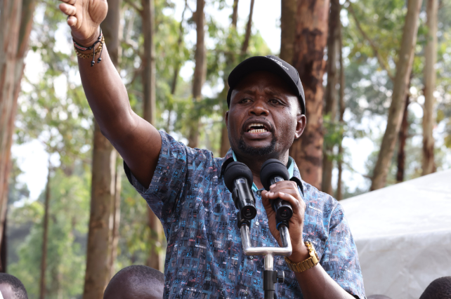 75f1ccd7 d9a1 45a4 b65b 2195a1795ecd