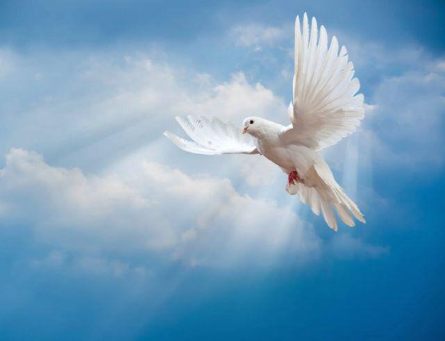 2b06e9b070d249f2897ab471ec1979d2