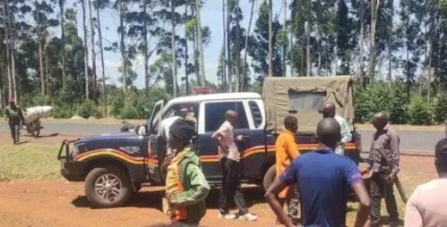 60d8c56734e644bb8bc2ad3278a97966