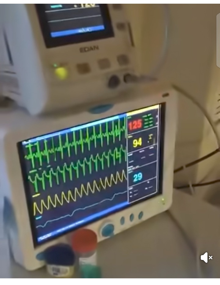 e3322d2a0edb4e22a0eaa901a21261bb