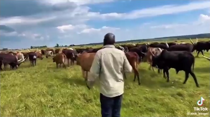 a3a29105946e4f85b9dfd0a9b6f348b4