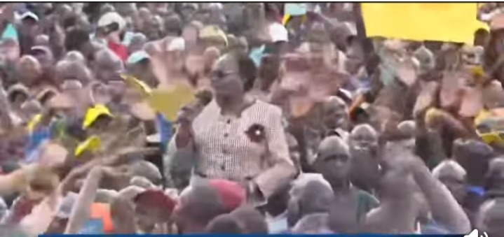 cff02df9aecc4246a3e49b18217d7d25