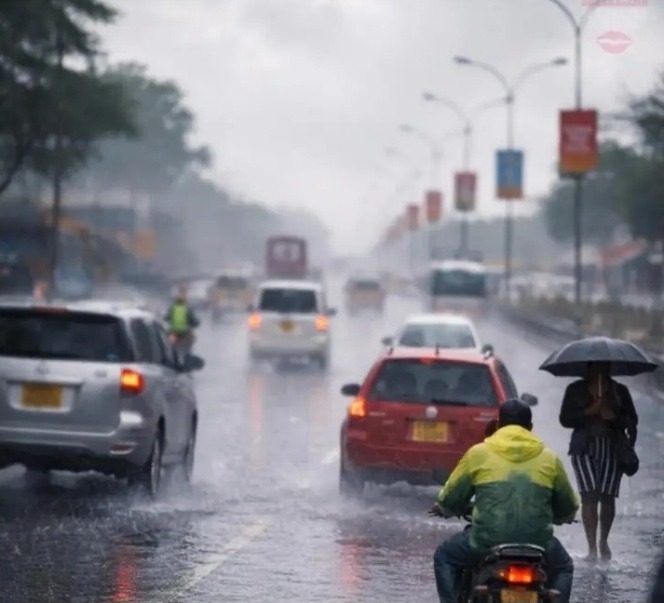 Rains