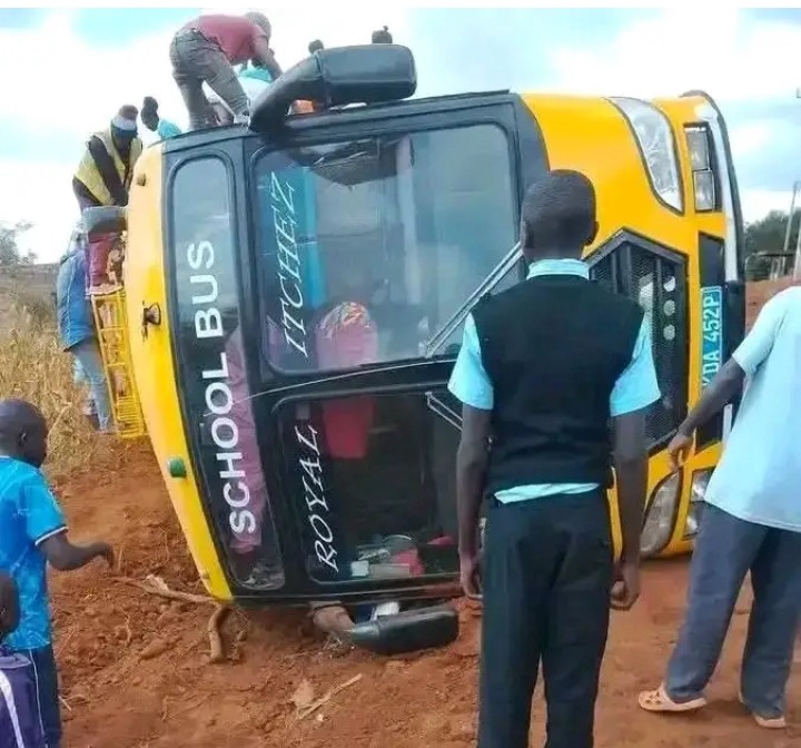 Shool Bus