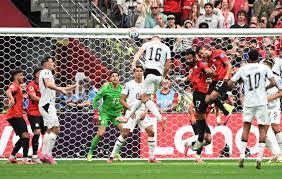 new zealand vs egypt