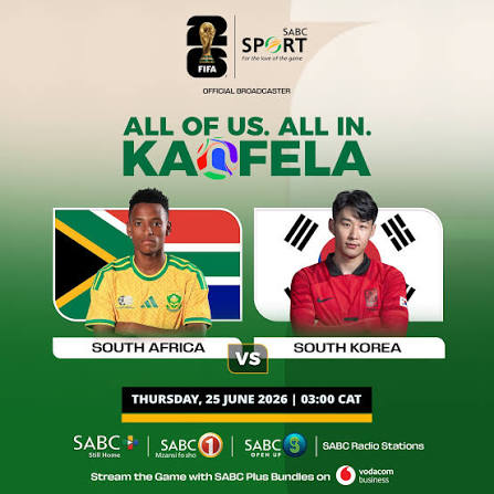 south africa vs south korea1