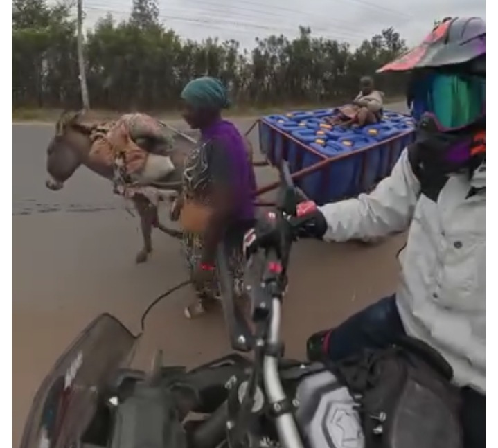 biker brayo