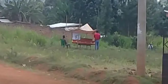metamanywa