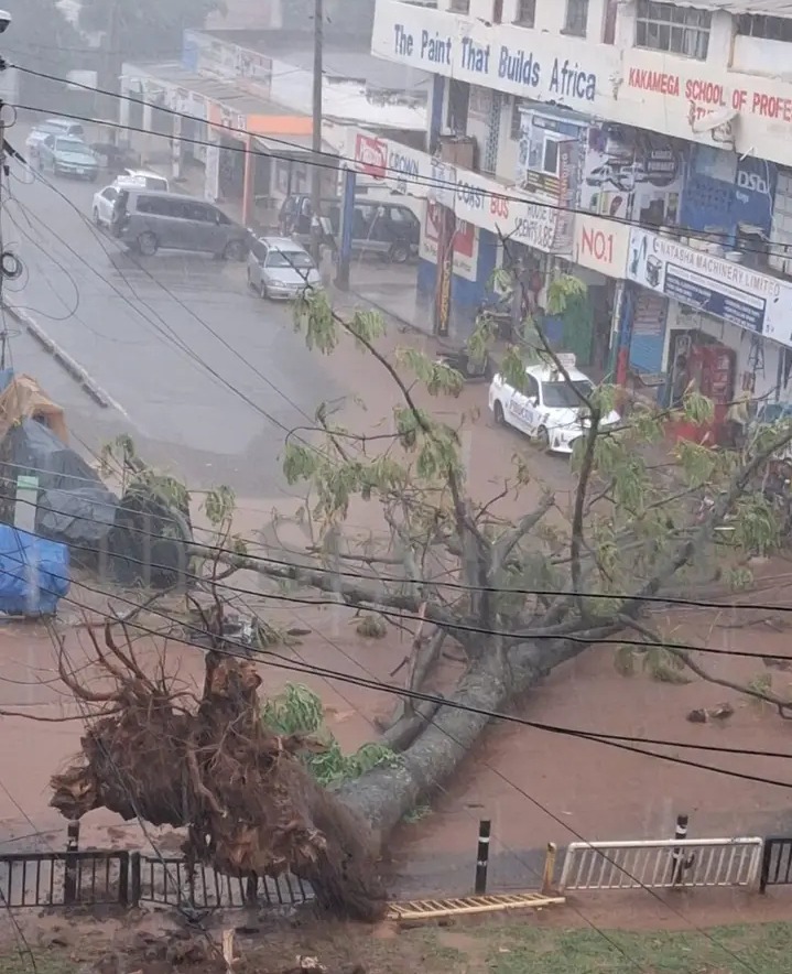 Uprooting